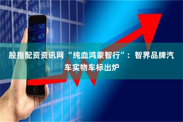 股指配资资讯网 “纯血鸿蒙智行”：智界品牌汽车实物车标出炉