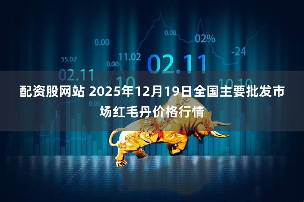 配资股网站 2025年12月19日全国主要批发市场红毛丹价格行情