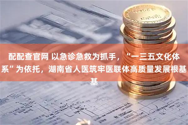 配配查官网 以急诊急救为抓手，“一三五文化体系”为依托，湖南省人医筑牢医联体高质量发展根基