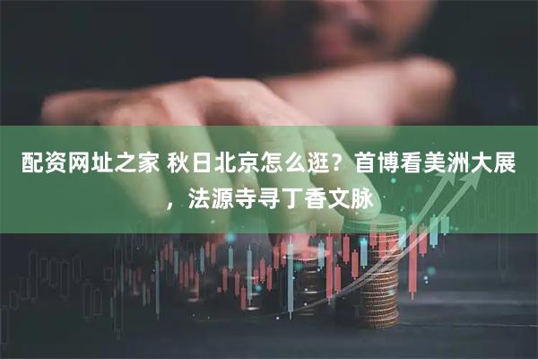 配资网址之家 秋日北京怎么逛？首博看美洲大展，法源寺寻丁香文脉